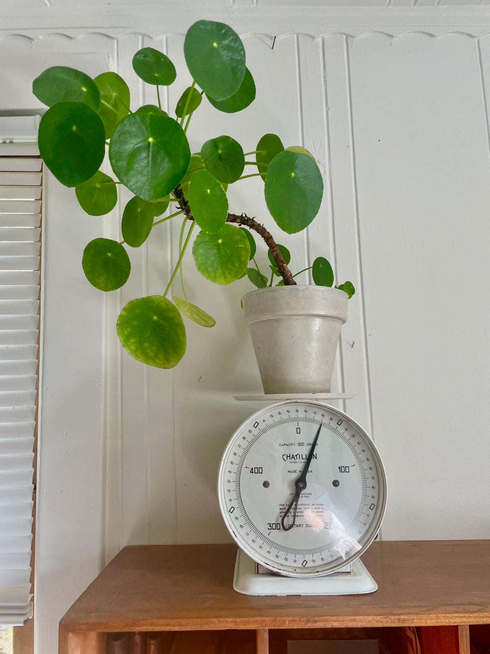 Vintage Chatillion dietary scale with white finish and decorative design.